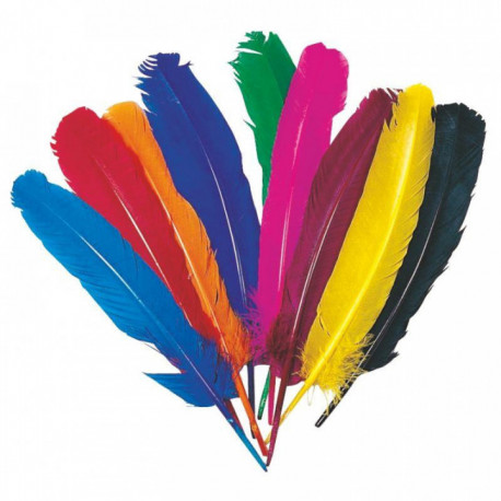 PLUMES D'INDIEN SACHET DE 12 COULEURS ASSORTIES L.30CM ENVIRON