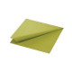 SERVIETTES OUATE 40X40CM 2 PLIS KIWI COLIS DE 1250