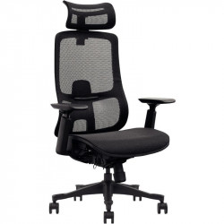SIEGE FAUTEUIL ERGONOMIQUE CARSON V2 SYNCHRONE BLOCAGES 4 POSITIONS DOS RESILLE NOIR AVEC RENFORT LOMBAIRE REGLABLE HAUTEUR RESI