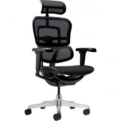 SIEGE FAUTEUIL ERGONOMIQUE ERGOHUMAN TRANSLATION ASSISE S/50MM ACCOUDOIRS 5D TETIERE 2D DOS/ASSISE RESILLE SOUTIEN LOMBAIRE REGL