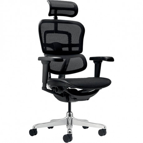 SIEGE FAUTEUIL ERGONOMIQUE ERGOHUMAN TRANSLATION ASSISE S/50MM ACCOUDOIRS 5D TETIERE 2D DOS/ASSISE RESILLE SOUTIEN LOMBAIRE REGL