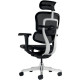 SIEGE FAUTEUIL ERGONOMIQUE ERGOHUMAN TRANSLATION ASSISE S/50MM ACCOUDOIRS 5D TETIERE 2D DOS/ASSISE RESILLE SOUTIEN LOMBAIRE REGL
