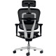 SIEGE FAUTEUIL ERGONOMIQUE ERGOHUMAN TRANSLATION ASSISE S/50MM ACCOUDOIRS 5D TETIERE 2D DOS/ASSISE RESILLE SOUTIEN LOMBAIRE REGL
