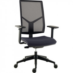 SIEGE FAUTEUIL ERGONOMIQUE LISE MESH SYNCHRONE AUTOREGULE 5 BLOCAGES DOS NOIR/ASSISE TISSU NON FEU GRIS FONCE DE L50XP45,5 CM