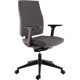 SIEGE FAUTEUIL ERGONOMIQUE LISE MESH SYNCHRONE AUTOREGULE 5 BLOCAGES DOS NOIR/ASSISE TISSU NON FEU GRIS FONCE DE L50XP45,5 CM