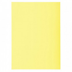 SOUS CHEMISES JAUNE PQT 250 PEFC FAB FRANCE SUPER 60G 22x31