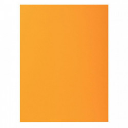 SOUS CHEMISES OCRES PQT 100 PEFC FAB FRANCE  ROCK'S 220 80G