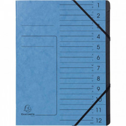 TRIEUR 12 COMPARTIMENTS ANTIMICROBIEN CLEAN'SAFE BLEU CARTE 400G