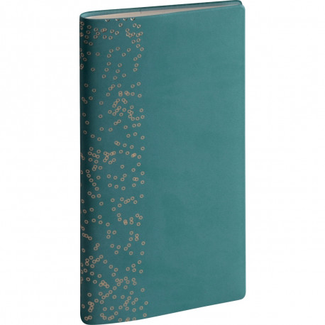 AGENDA SEMAINIER AMÉLIE 9X17,5CM VERT 12 mois de janvier à décembre. La semaine sur 1 page