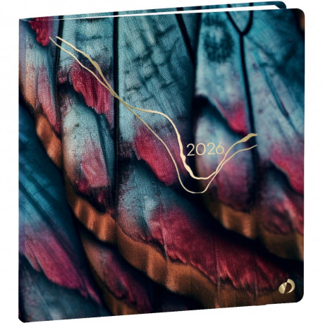 AGENDA SEMAINIER HIPSY 16X16CM PAPILLON 13 mois, de Décembre à Décembre La semaine sur 2 pages