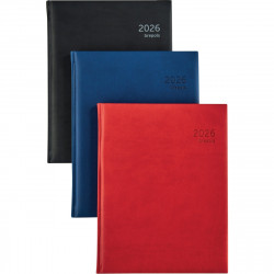 AGENDA SEMAINIER OPTIVISION 17X22CM ASSORTI 12 mois de janvier à décembre. 1 semaine sur 2 pages