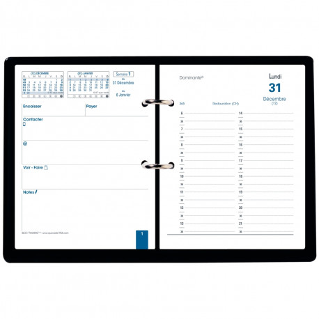 BLOC éphéméride PLANING DOMINANTE 12 mois de janvier à décembre.