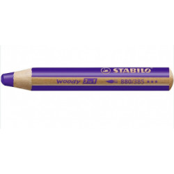 CRAYON DE COULEUR WOODY VIOLET LOT X5
