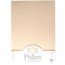 FEUILLES POLLEN CLAIREFONTAINE 210X297MM 120G. PAQUET DE 50 IVOIRE
