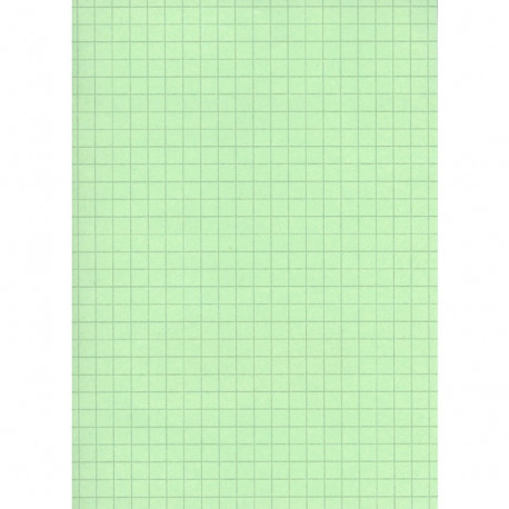 FICHE BRISTOL 148x210 5x5 VERT PQT 100