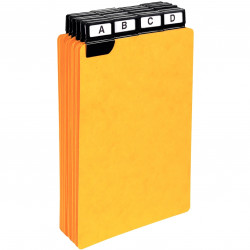 JEU DE 24 INTERCALAIRES POUR BOÎTES À FICHES 210 X 148 MM