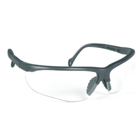 LUNETTES DE PROTECTION EVASHARKGCA