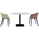 TABLE RONDE Ø120 ÉPAISSEUR 25 PIED PLATEAU BLANC/PIÉTEMENT ALU