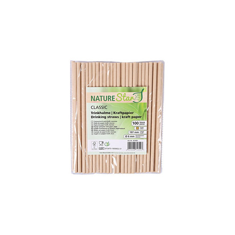 PAILLES EN PAPIER 197MM NATURE LOT DE 100