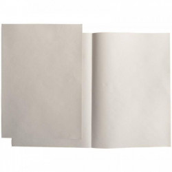 SOUS CHEMISES GRISES PQT 250 PEFC FAB FRANCE SUPER 60G 22x31