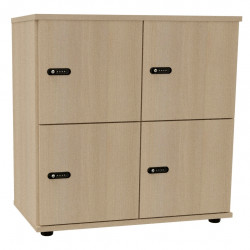 CASIER PARIS FAB FR AVEC PORTES 4 CASES CUBIK ACACIA GAR 8ANS