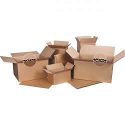 CARTONS 310X220X100 LOT DE 20 SIMPLE CANNELURE CAISSES AMÉRICAINES