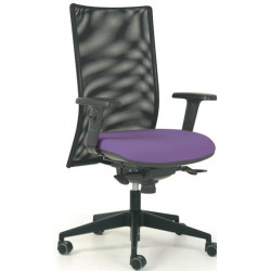 FAUTEUIL EDGE - Seconde main modèle d'exposition - SYNCHRONE DOS RESILLE NR/ACC.REGL/RENF.LOMB/ASS.DUO BLIZZARD G