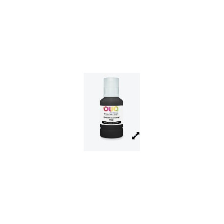T06B140 FLACON D'ENCRE P/EPSON 113 NOIR 7500P OWA