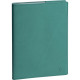 AGENDA SEMAINIER LADY ALYSSE 15X21CM VERT