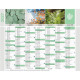 CALENDRIER MURAL 430X335MM EQUOLOGY