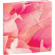 AGENDA SEMAINIER HIPSY 16X16CM PÉTALES