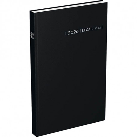 AGENDA CARRE 1 JOUR EURO CENTIMES ASSORTI 14x22cm 12 mois de Janvier à Décembre. 1 jour par page