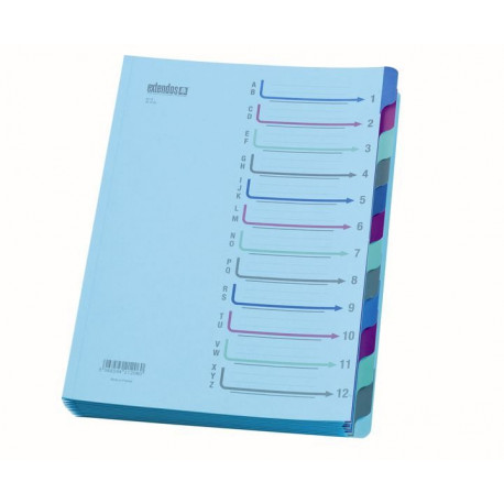 TRIEUR CARTE 12 COMPARTIMENTS EXTENDOS 42.12