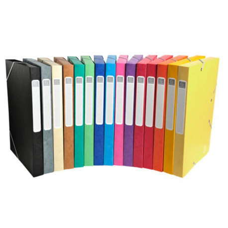 BOITE DE CLASSEMENT CARTOBOX 25MM BTE25 ASSORTIES EXACOMPTA 18500H