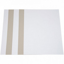 PAQUET DE 5 FEUILLES DE CARTON 1 CÔTÉ BLANC, 1 CÔTÉ GRIS FORMAT 50 X 65 CM, 640