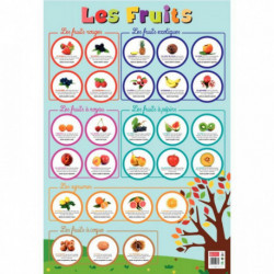 POSTER PVC 76X52CM LES FRUITS