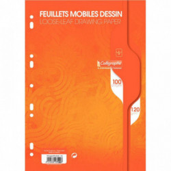 SACHET 50 FEUILLETS MOBILES DESSIN (100 PAGES) FORMAT 21X29,7 CM 120G UNI BLANC