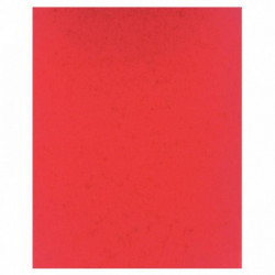 PROTÈGE-CAHIER 2 GRANDS RABATS  FORMAT 18 X 22 CM CARTE LUSTRÉE COLORIS ROUGE