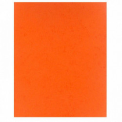 PROTÈGE-CAHIER 2 GRANDS RABATS  FORMAT 18 X 22 CM CARTE LUSTRÉE COLORIS ORANGE