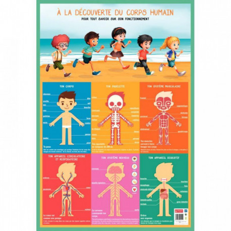 POSTER PVC 76X52 CM LE CORPS HUMAIN