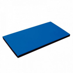 TAPIS DE SPORT 115X60X5CM BLEU