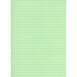 FICHE BRISTOL 125X200 5X5 PQT100F  VERT