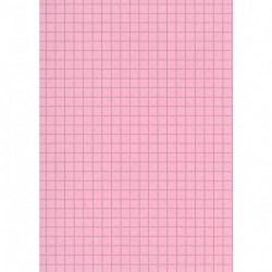 FICHE BRISTOL 148x210 5x5 ROSE PQT 100