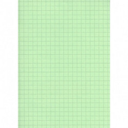 FICHE BRISTOL 210x297 5x5 VERT PQT 100