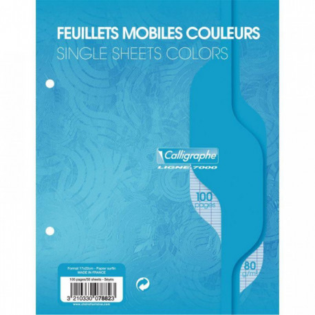 FEUILLE  MOBILE (100 PAGES) FORMAT 17X22 CM SÉYÈS 80G COLORIS BLEU PQT50