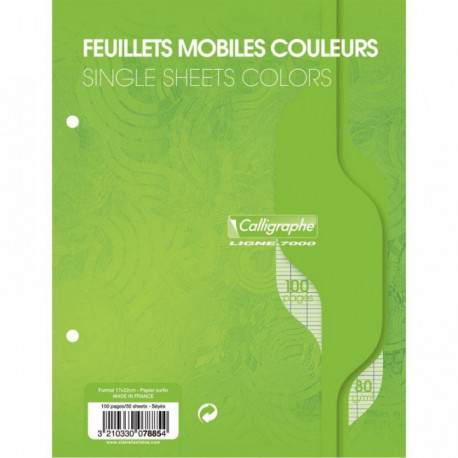 SACHET DE 50 FEUILLETS MOBILES (100 PAGES) FORMAT 17X22 CM SÉYÈS 80G COLORIS VER