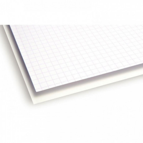 PAQUET DE 25 FEUILLES BRISTOL 200 GR FORMAT 50X65 CM UNI BLANC