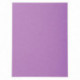 CHEMISE RECYCLE LILAS PQT 100 PEFC FAB FRANCE 220G 24X32 FOREVER