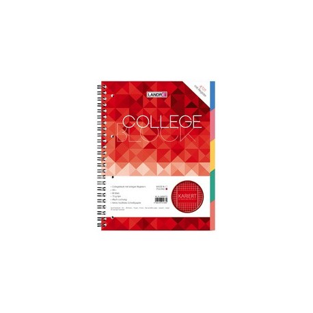 CAHIER SPIRALE   80g PERFOREE A4+ couv.carte rigide   5x5  160 pages