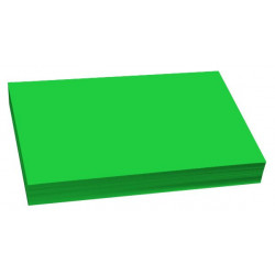 PAPIER A4 80G REPRO VERT INTENSE RTE 500